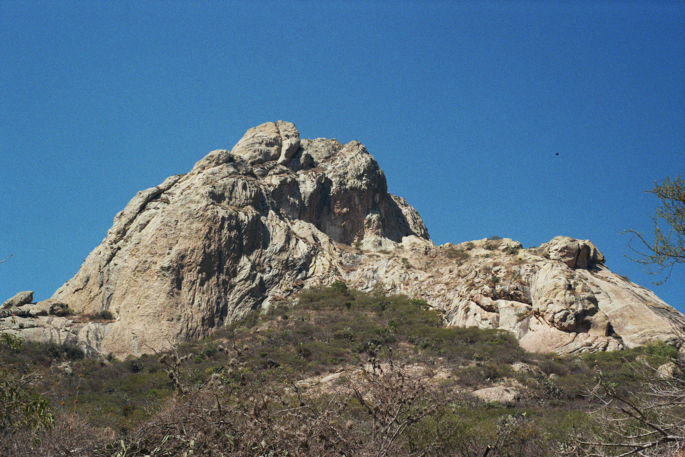 Fotografia analogica scattata in Messico nel 2026